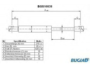 BUGIAD BGS10838 dujinė spyruoklė, bagažinė 
 Priedai -> Bagažinė/pakrovimo skyrius
5124 8 410 755