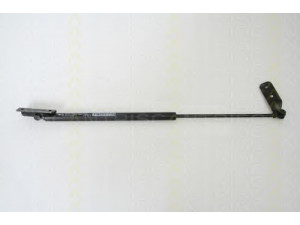 TRISCAN 8710 69219 dujinė spyruoklė, bagažinė 
 Priedai -> Bagažinė/pakrovimo skyrius
81850-80G00-000, 81850-80G00-X10