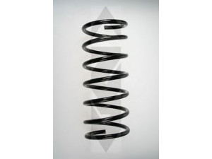 SPIDAN 48632 spyruoklė 
 Pakaba -> Spyruoklės
31 33 1 126 024