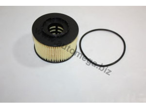 AUTOMEGA 30100880179 alyvos filtras 
 Techninės priežiūros dalys -> Techninės priežiūros intervalai
1088179