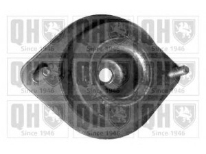 QUINTON HAZELL EM2816 montavimas, automatinė transmisija; montavimas, neautomatinė transmisija 
 Transmisija -> Automatinė pavarų dėžė -> Transmisijos montavimas
7700795689, 7700806577