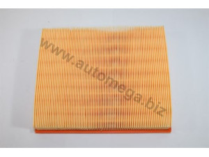 AUTOMEGA 30100240245 oro filtras
1024245