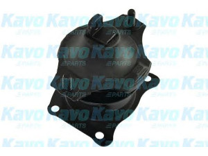 KAVO PARTS EEM-2096 variklio montavimas 
 Variklis -> Variklio montavimas -> Variklio montavimo rėmas
50830SDAA04, 50830SDAE01