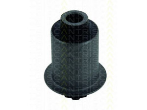 TRISCAN 8500 41801 valdymo svirties/išilginių svirčių įvorė 
 Ašies montavimas/vairavimo mechanizmas/ratai -> Valdymo svirtis/pasukamosios svirties sujungimas -> Montavimas/sutvirtinimas
