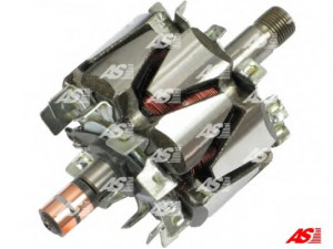 AS-PL AR6010 rotorius, kintamosios srovės generatorius