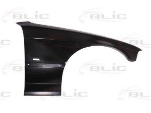 BLIC 6504-04-00603112P sparnas 
 Kėbulas -> Transporto priemonės priekis -> Sparnas/montavimo dalys