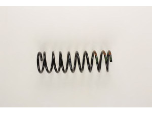BILSTEIN 36-130061 spyruoklė 
 Pakaba -> Spyruoklės
1009284, 95 AB 5560 CC