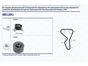 MAGNETI MARELLI 341311261101 paskirstymo diržo komplektas 
 Techninės priežiūros dalys -> Papildomas remontas