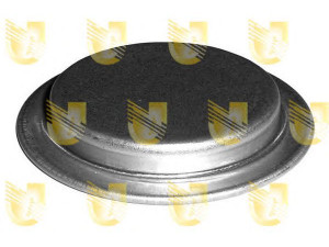 UNIGOM 210005 užšalęs kaištis 
 Variklis -> Karteris -> Variklio blokas
7579570, 7579570