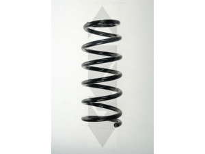 SPIDAN 55473 spyruoklė 
 Pakaba -> Spyruoklės
52441-S6F-E02