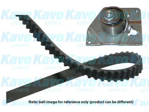 KAVO PARTS DKT-5520 paskirstymo diržo komplektas 
 Techninės priežiūros dalys -> Papildomas remontas