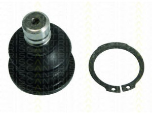 TRISCAN 8500 25544 atramos/vairo trauklė 
 Ašies montavimas/vairavimo mechanizmas/ratai -> Sujungimai -> Atramos/vairo trauklė
4016 047 93R, 4046 047 93R, 8200 298 454