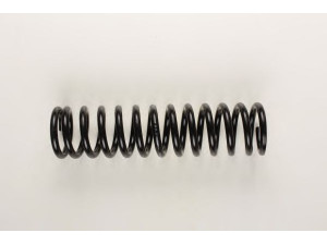 BILSTEIN 36-154241 spyruoklė 
 Pakaba -> Spyruoklės
123 321 36 04