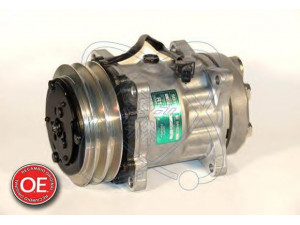 ELECTRO AUTO 20A8081 kompresorius, oro kondicionierius 
 Oro kondicionavimas -> Kompresorius/dalys
5010417679, 5010417679