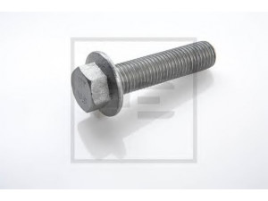 PE Automotive 026.680-00A varžtas
016683034, 1668 3034
