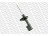 MONROE G16678 amortizatorius 
 Pakaba -> Amortizatorius
4851029245, 4852029075, 4852029076