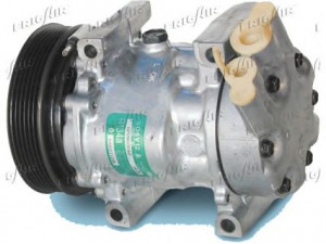 FRIGAIR 920.20058 kompresorius, oro kondicionierius 
 Oro kondicionavimas -> Kompresorius/dalys
7700111235, 7701499970