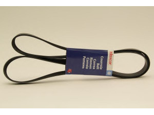 KLAXCAR FRANCE 6PK1842 V formos rumbuoti diržai 
 Techninės priežiūros dalys -> Techninės priežiūros intervalai
46474062, 46749665, 46759720, 60617862