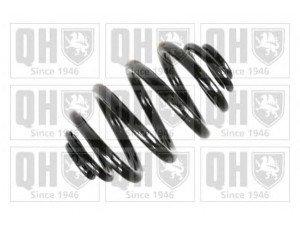 QUINTON HAZELL QCS5744 spyruoklė 
 Pakaba -> Spyruoklės
33 53 9 065 357