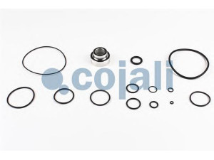 COJALI 6016035 remonto komplektas