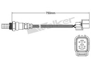 WALKER PRODUCTS 250-24761 lambda jutiklis 
 Variklis -> Variklio elektra
36531 PWA 903, 36531 PWA E01, 36531 PWA G02