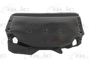 BLIC 6601-02-0065863P variklio dangtis 
 Variklis -> Variklio dangtis
51712695680