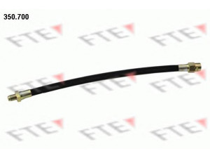 FTE 350.700 stabdžių žarnelė
N1.01100.9820, 11009820
