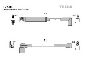 TESLA T273B uždegimo laido komplektas 
 Kibirkšties / kaitinamasis uždegimas -> Uždegimo laidai/jungtys
1612484