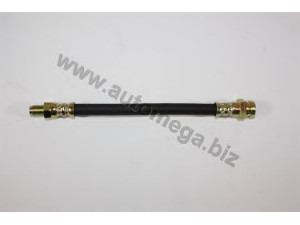 AUTOMEGA 30100680975 stabdžių žarnelė
1068975