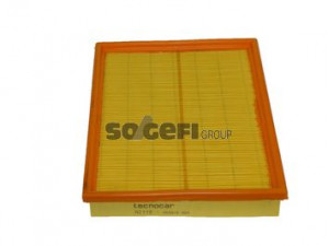 TECNOCAR A2118 oro filtras 
 Filtrai -> Oro filtras
FA3362, PC2391E, 13271043, 5834280