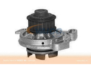 VAICO V10-50030 vandens siurblys 
 Aušinimo sistema -> Vandens siurblys/tarpiklis -> Vandens siurblys
073 121 004, 073 121 004 V, 073 121 005
