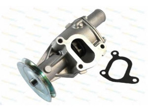 THERMOTEC D1F045TT vandens siurblys 
 Aušinimo sistema -> Vandens siurblys/tarpiklis -> Vandens siurblys
46742168, 7724414