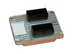 SIDAT 2.43117 valdymo blokas, variklio valdymas 
 Variklis -> Variklio elektra
51764503, 51780240, 51784956, 51793104