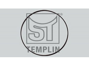 ST-TEMPLIN 14.060.1595.030 tarpiklis
06.56332.4254, 06.56341.4254, 06.56341.4263