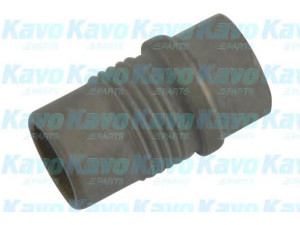 KAVO PARTS SCR-4554 valdymo svirties/išilginių svirčių įvorė 
 Ašies montavimas/vairavimo mechanizmas/ratai -> Valdymo svirtis/pasukamosios svirties sujungimas -> Montavimas/sutvirtinimas
139134471