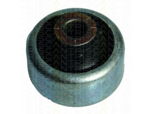 TRISCAN 8500 25817 valdymo svirties/išilginių svirčių įvorė 
 Ašies montavimas/vairavimo mechanizmas/ratai -> Valdymo svirtis/pasukamosios svirties sujungimas -> Montavimas/sutvirtinimas
8200 586 564, 82 00 586 561, 82 00 586 564