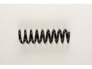 BILSTEIN 36-129669 spyruoklė 
 Pakaba -> Spyruoklės
210 324 33 04