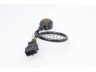 BOSCH 0 261 231 092 detonacijos jutiklis 
 Variklis -> Variklio elektra
12 14 1 401 238
