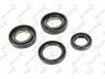 LAUBER CO15598120 tarpiklių rinkinys, vairo mechanizmo pavara