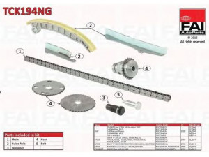 FAI AutoParts TCK194NG pavaros grandinės komplektas 
 Variklis -> Variklio uždegimo laiko reguliavimo kontrolė -> Sinchronizavimo grandinė/įtempiklis/kreiptuvas -> Pavaros grandinės komplektas
