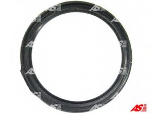 AS-PL SDK3004 remonto komplektas, starteris