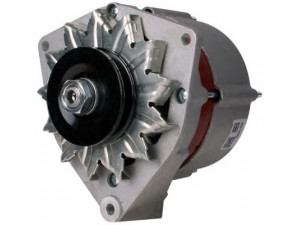 PowerMax 89212280 kintamosios srovės generatorius