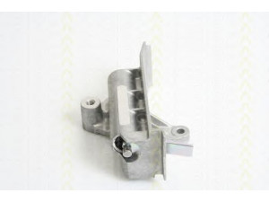 TRISCAN 8646 29313 vibracijos slopintuvas, paskirstymo diržas 
 Diržinė pavara -> Paskirstymo diržas/komplektas -> Vibracijos slopintuvas
045 109 479 C, 1 100 566, 1100 566