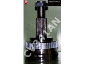 SHAFTEC CV341AN jungtis, kardaninis velenas 
 Ratų pavara -> Sujungimai/komplektas