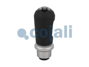 COJALI 2880171 pavarų svirties galvelė
1482996