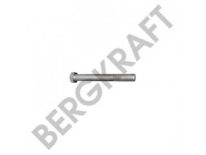 BERGKRAFT BK2998221SP lingės varžtas
50 03 101 526, 5003101526