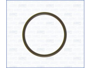 AJUSA 16024600 tarpiklis, įsiurbimo kolektorius
N0282061
