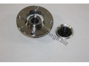AUTOMEGA 303748076 rato guolio komplektas
374876, 374876