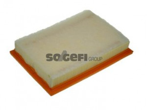 PURFLUX A1129 oro filtras 
 Filtrai -> Oro filtras
1004070, 1110661, 7M3129620, YM2X9601AA