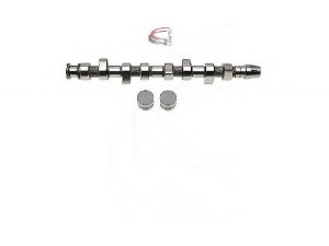 CAMPRO CP60214 skirstomojo veleno komplektas 
 Variklis -> Variklio uždegimo laiko reguliavimo kontrolė -> Skirstomasis velenas
038 109 101 K